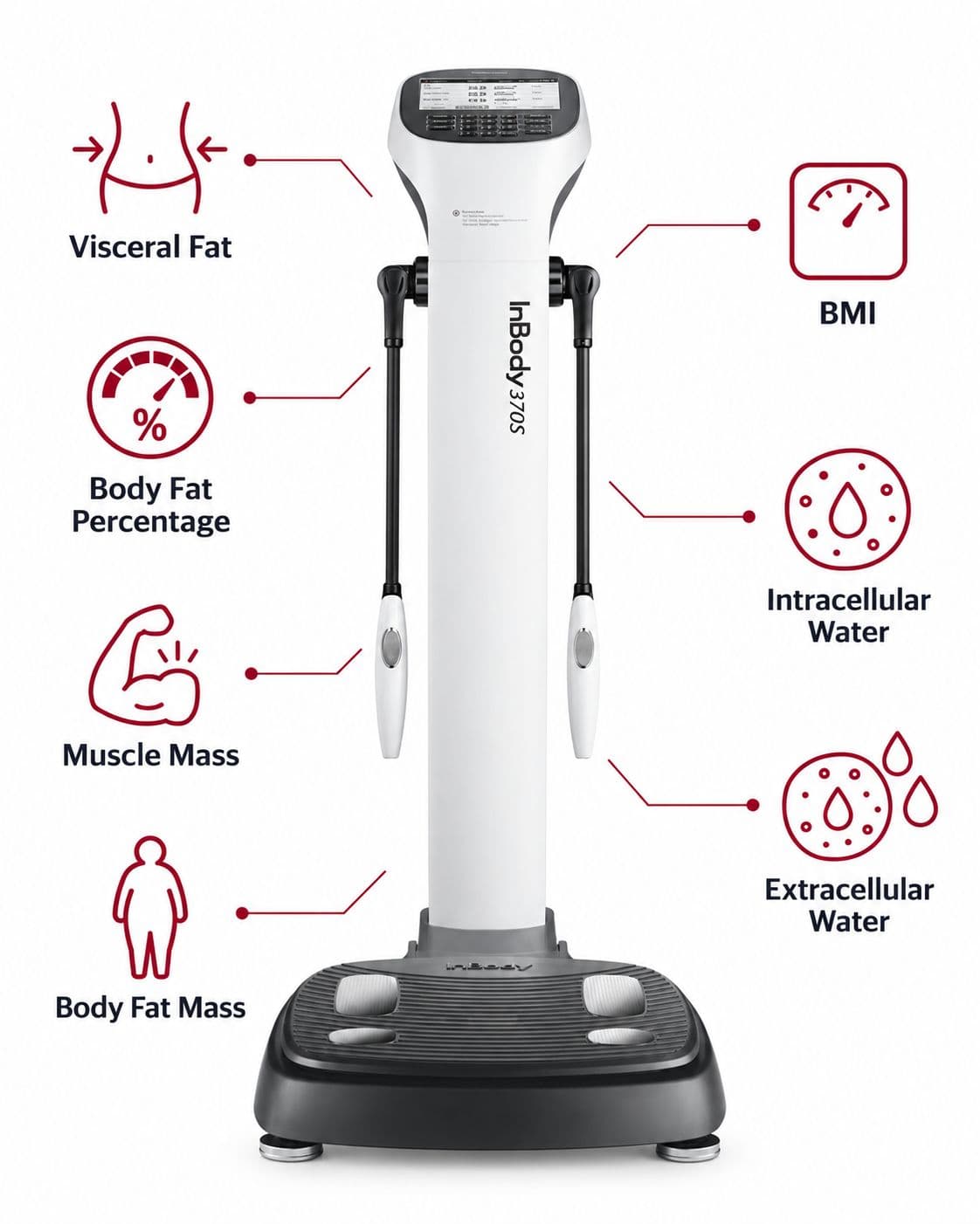 InBody 580 body composition analyzer showing what it measures: visceral fat, body fat percentage, muscle mass, body fat mass, BMI, intracellular water, and extracellular water